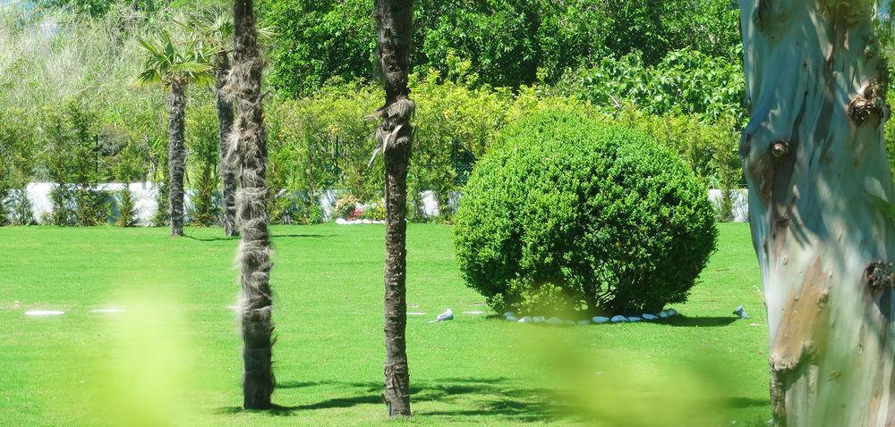 Hotel Eden Park Cilento Ispani 외부 사진